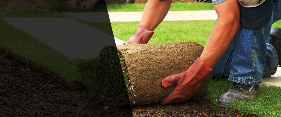 Eatonville Landscapers